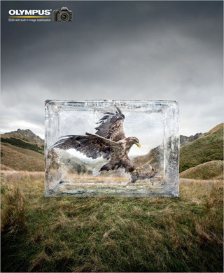 Illustration for article titled New Olympus DSLR Ads Put Animals On Ice